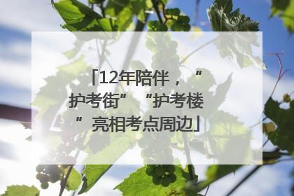 12年陪伴，“护考街”“护考楼”亮相考点周边