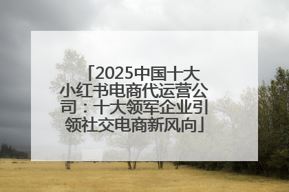 2025中国十大小红书电商代运营公司：十大领军企业引领社交电商新风向