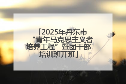 2025年丹东市“青年马克思主义者培养工程”暨团干部培训班开班