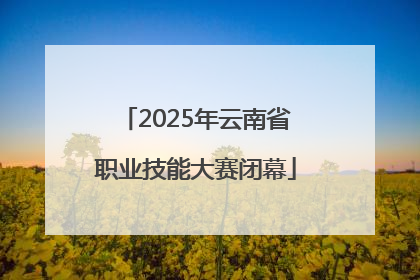 2025年云南省职业技能大赛闭幕