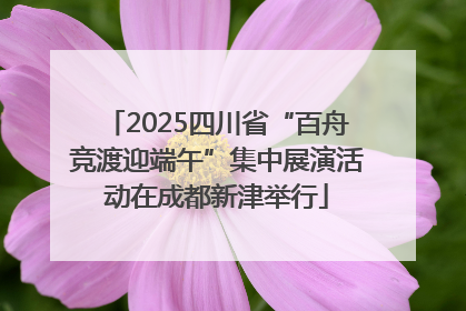 2025四川省“百舟竞渡迎端午”集中展演活动在成都新津举行
