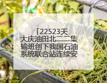 22523天 大庆油田北二二集输班创下我国石油系统联合站连续安全生产之最