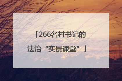 266名村书记的法治“实景课堂”