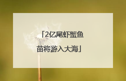 2亿尾虾蟹鱼苗将游入大海