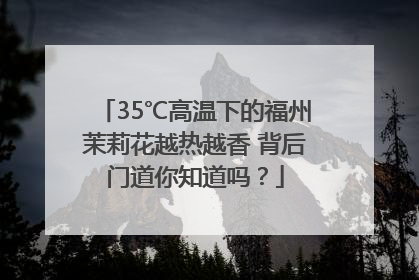 35℃高温下的福州茉莉花越热越香 背后门道你知道吗？
