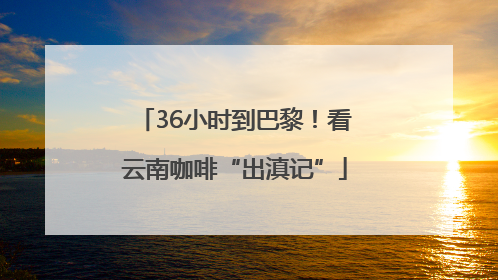 36小时到巴黎！看云南咖啡“出滇记”