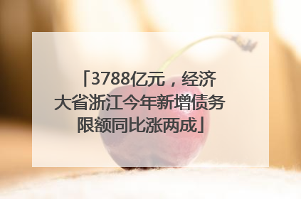 3788亿元，经济大省浙江今年新增债务限额同比涨两成