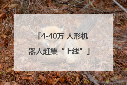 4-40万 人形机器人赶集“上线”