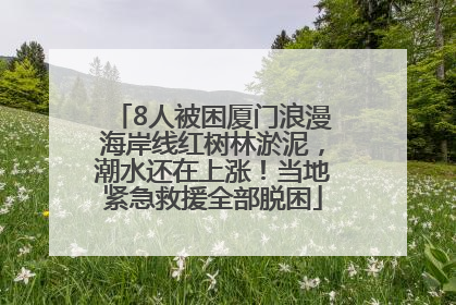 8人被困厦门浪漫海岸线红树林淤泥，潮水还在上涨！当地紧急救援全部脱困