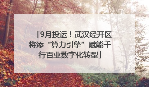 9月投运！武汉经开区将添“算力引擎”赋能千行百业数字化转型