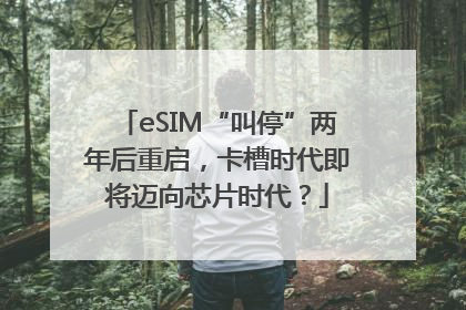 eSIM“叫停”两年后重启，卡槽时代即将迈向芯片时代？